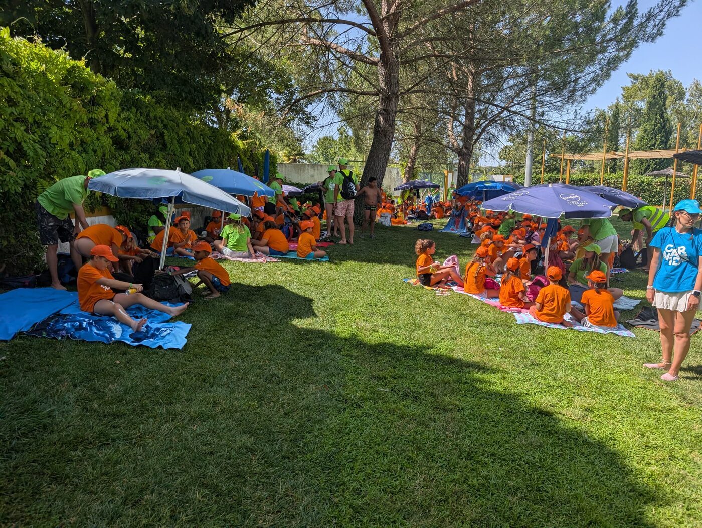 Grupo a descansar à sombra nos relvados junto à piscina