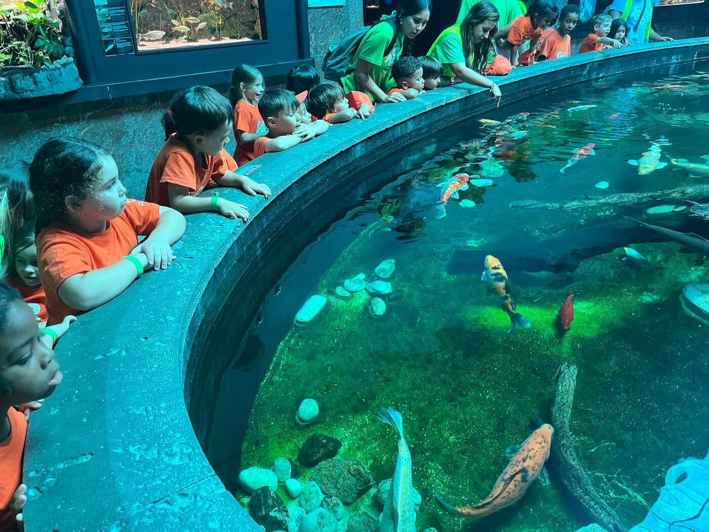 Crianças a observar peixes num aquário circular