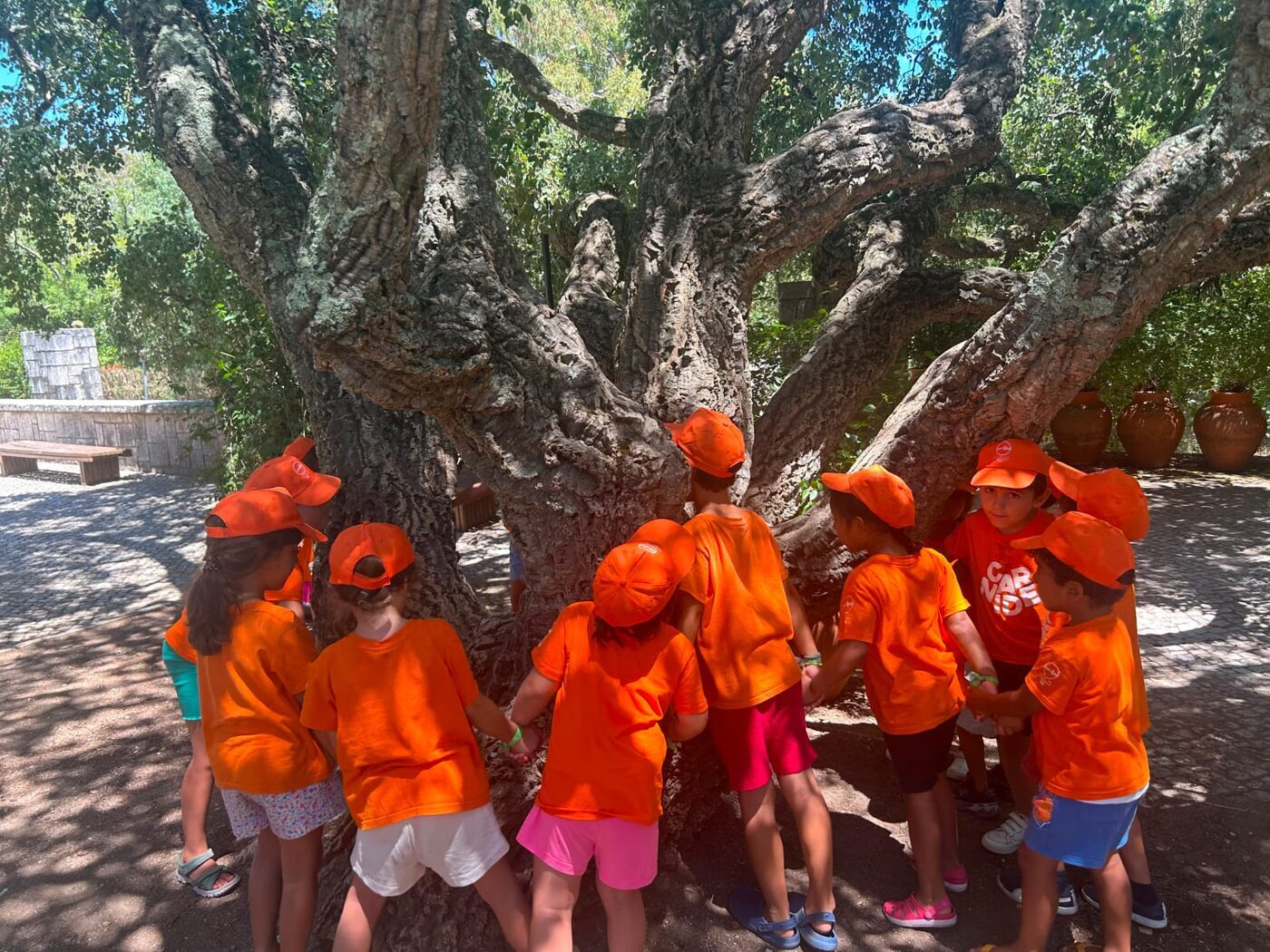 Grupo de crianças de boné laranja à sombra de uma grande árvore