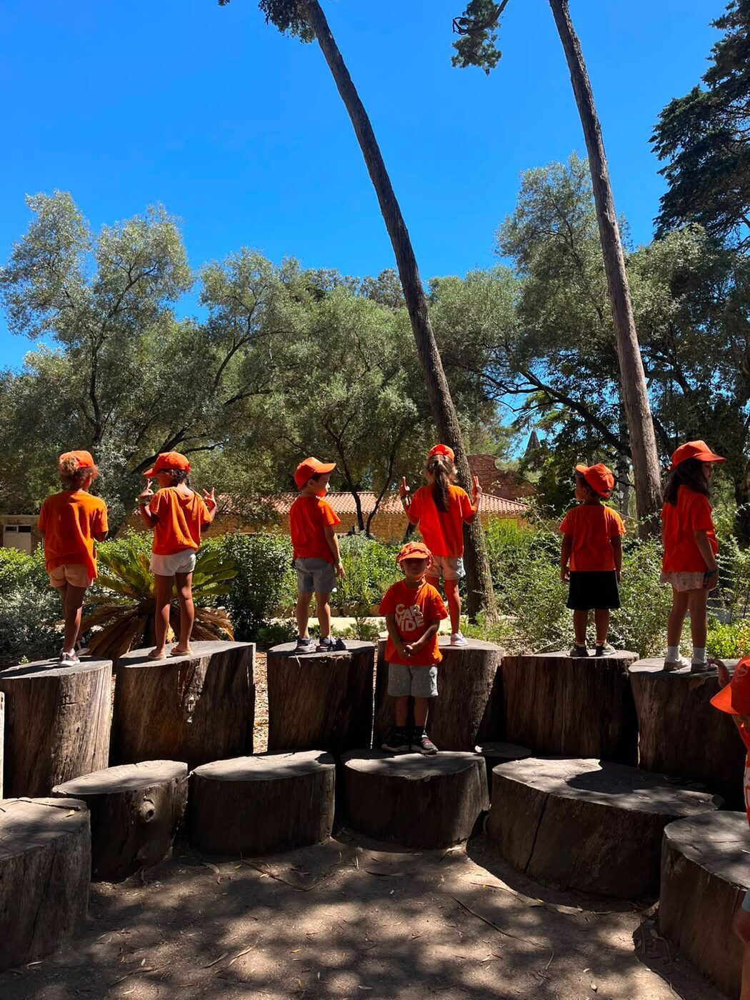 Crianças em equilíbrio sobre troncos de madeira num parque
