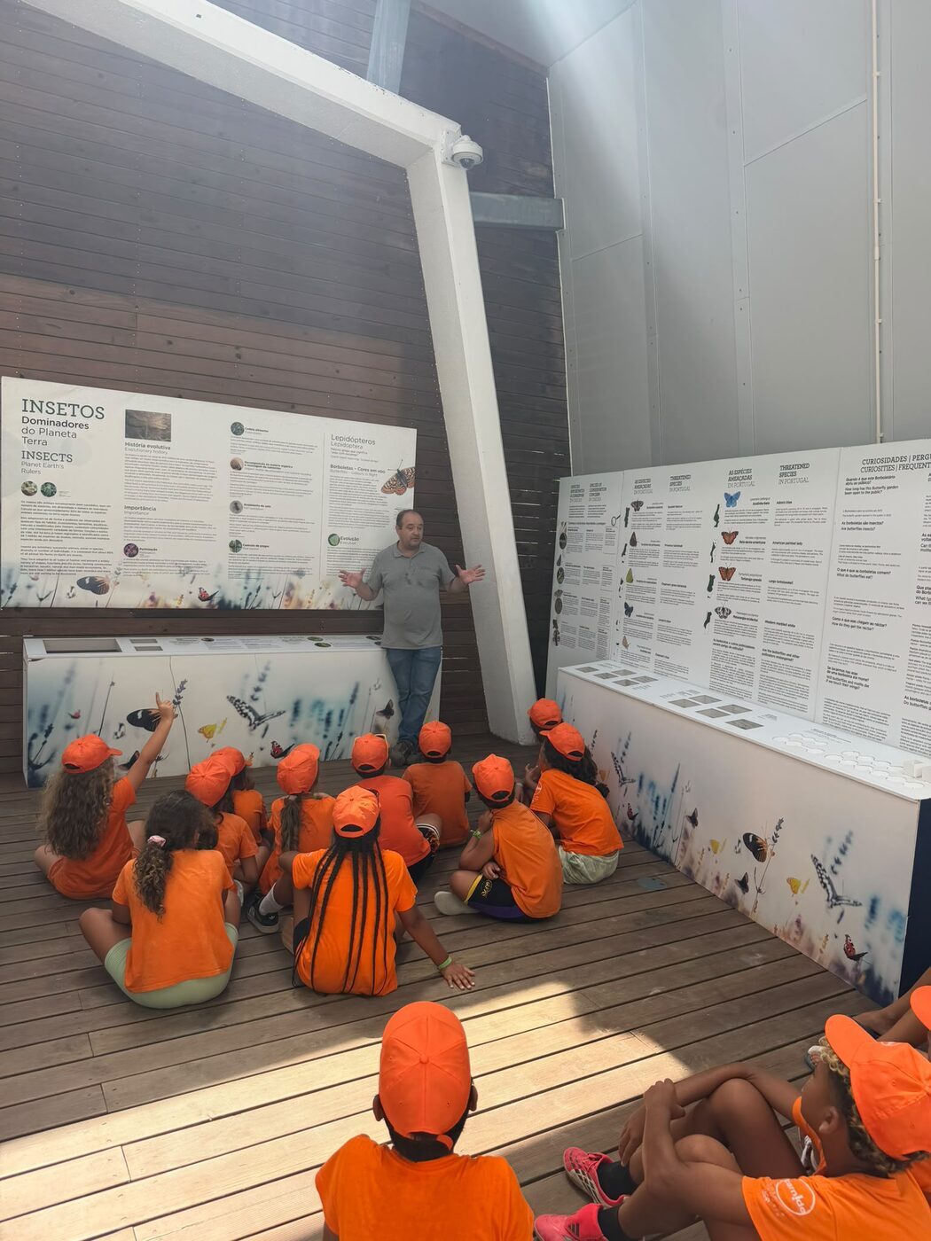 Grupo sentado no chão a ouvir uma explicação numa exposição sobre insectos