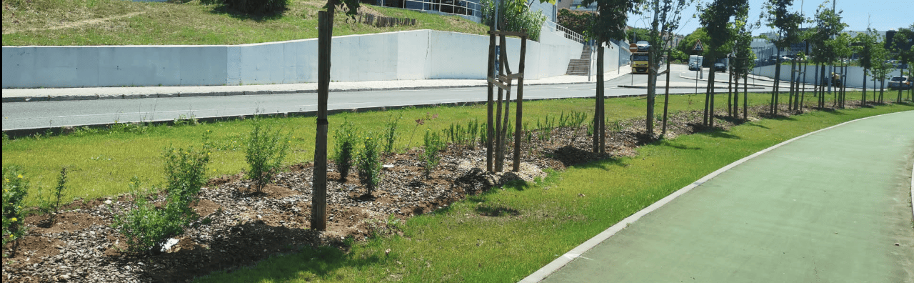 Ambiente e Espaços Verdes