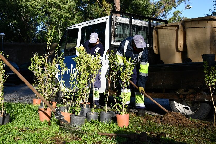 Equipa a plantar árvores junto a viatura Carnide