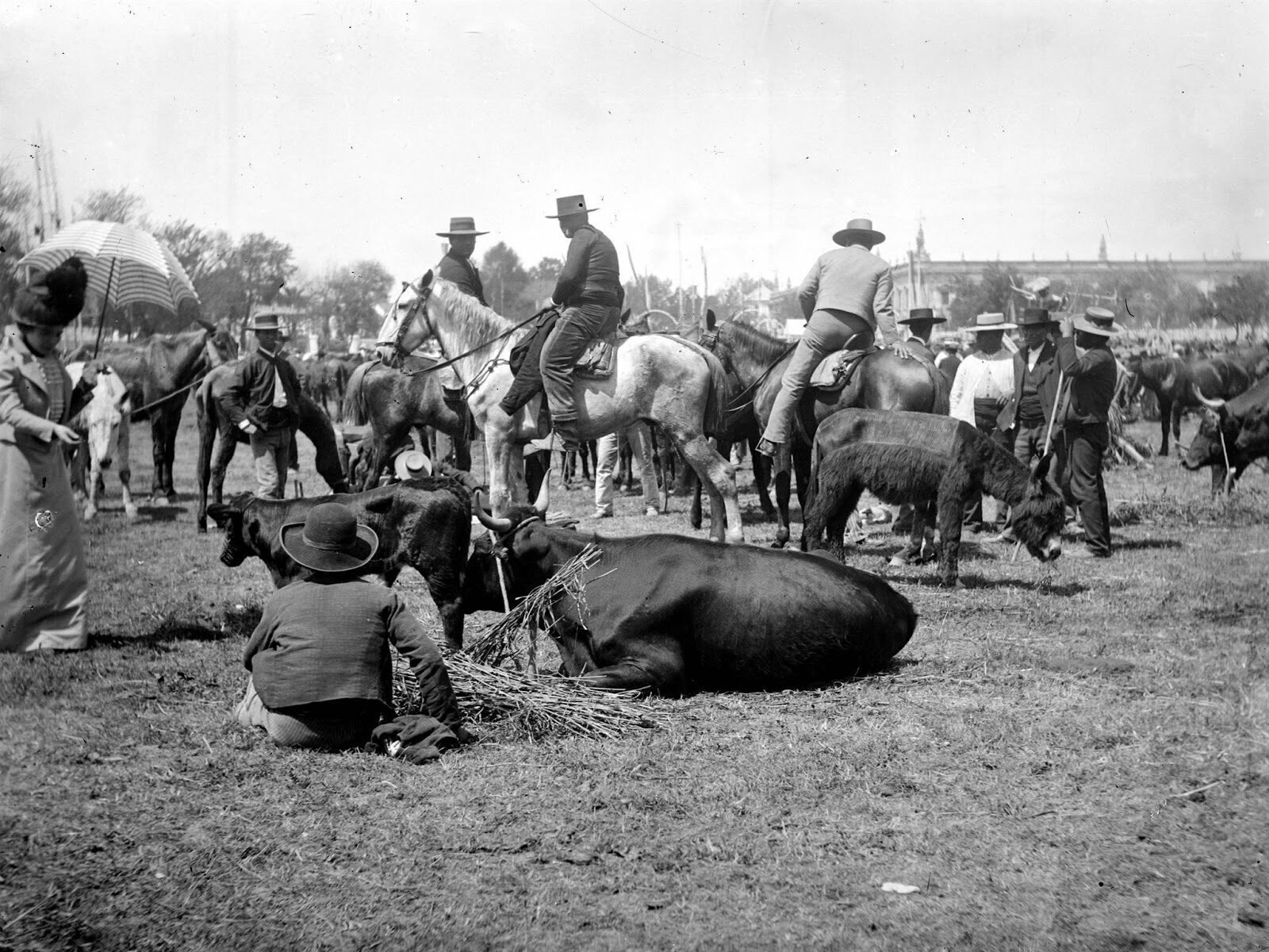 Feira da Luz — barracas e movimento popular na feira de Carnide