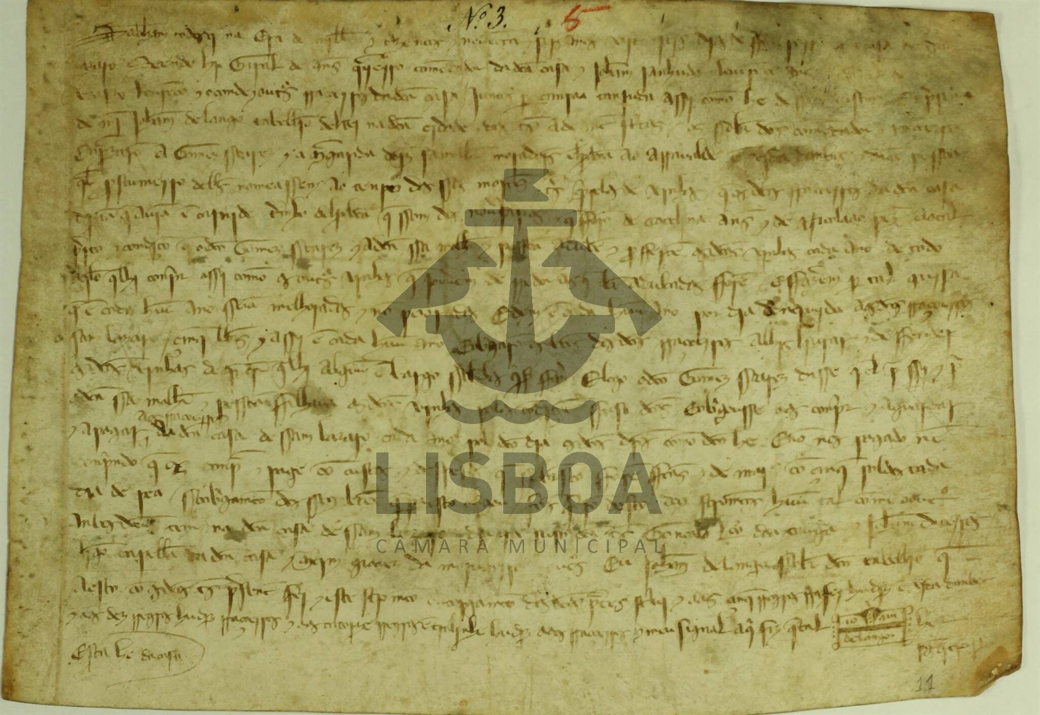 Documento em pergaminho do século XIV — emprazamento de vinhas em Carnide (1358)