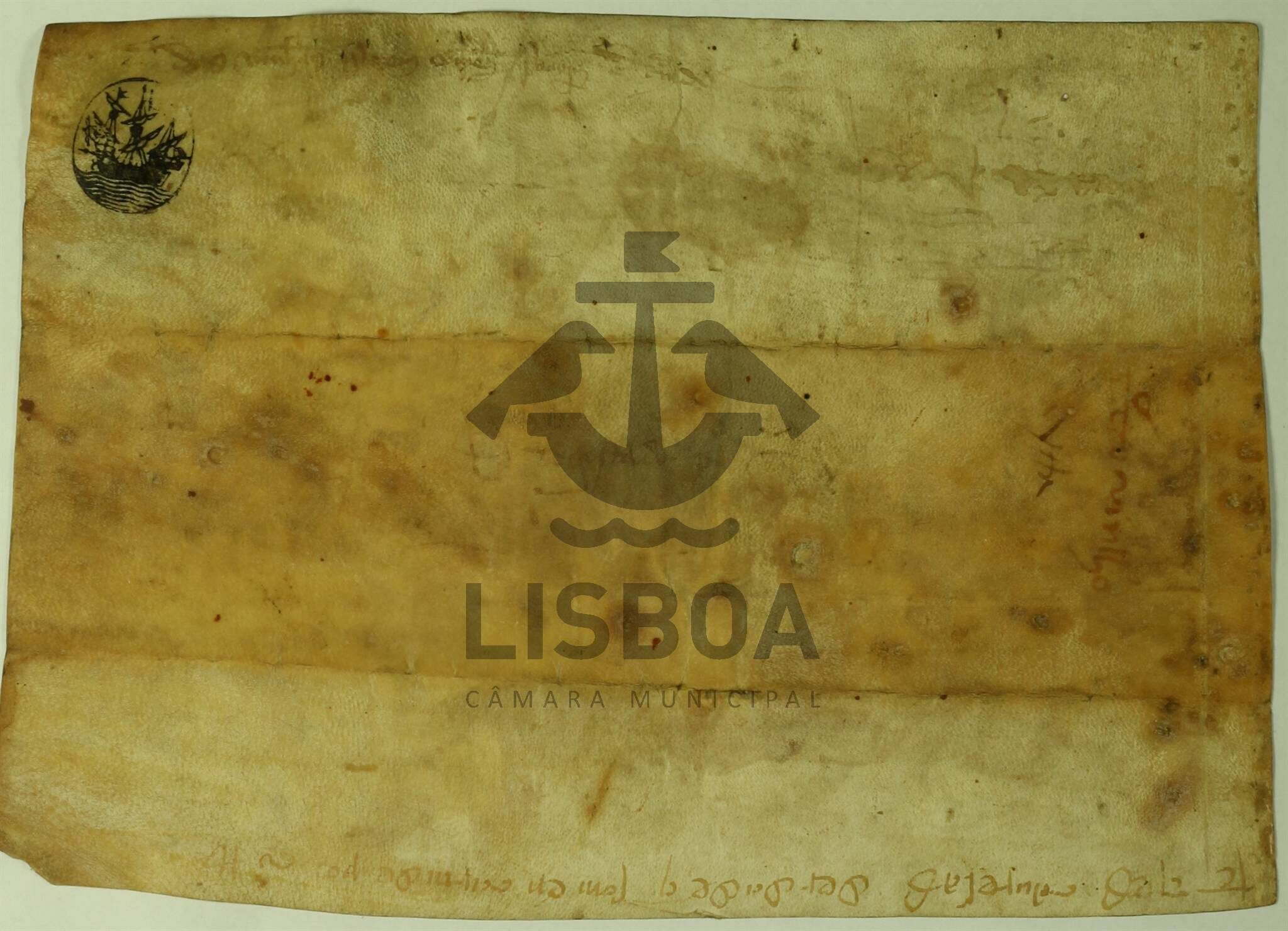 Verso do documento em pergaminho — emprazamento de vinhas em Carnide (1358)