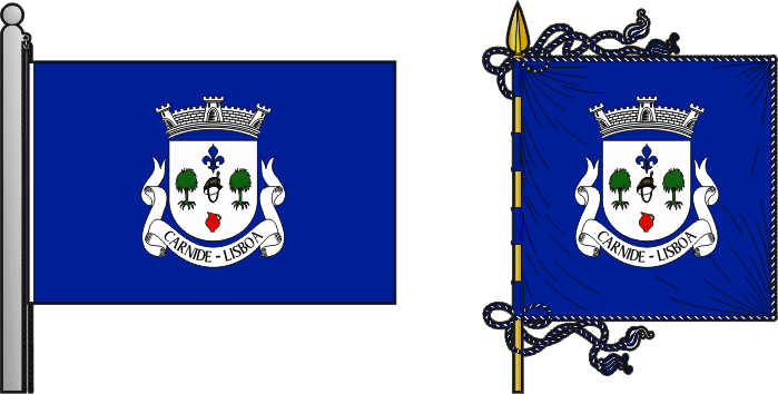 Bandeira e estandarte da Freguesia de Carnide — Bandeira formato 2x3, Estandarte formato 1x1