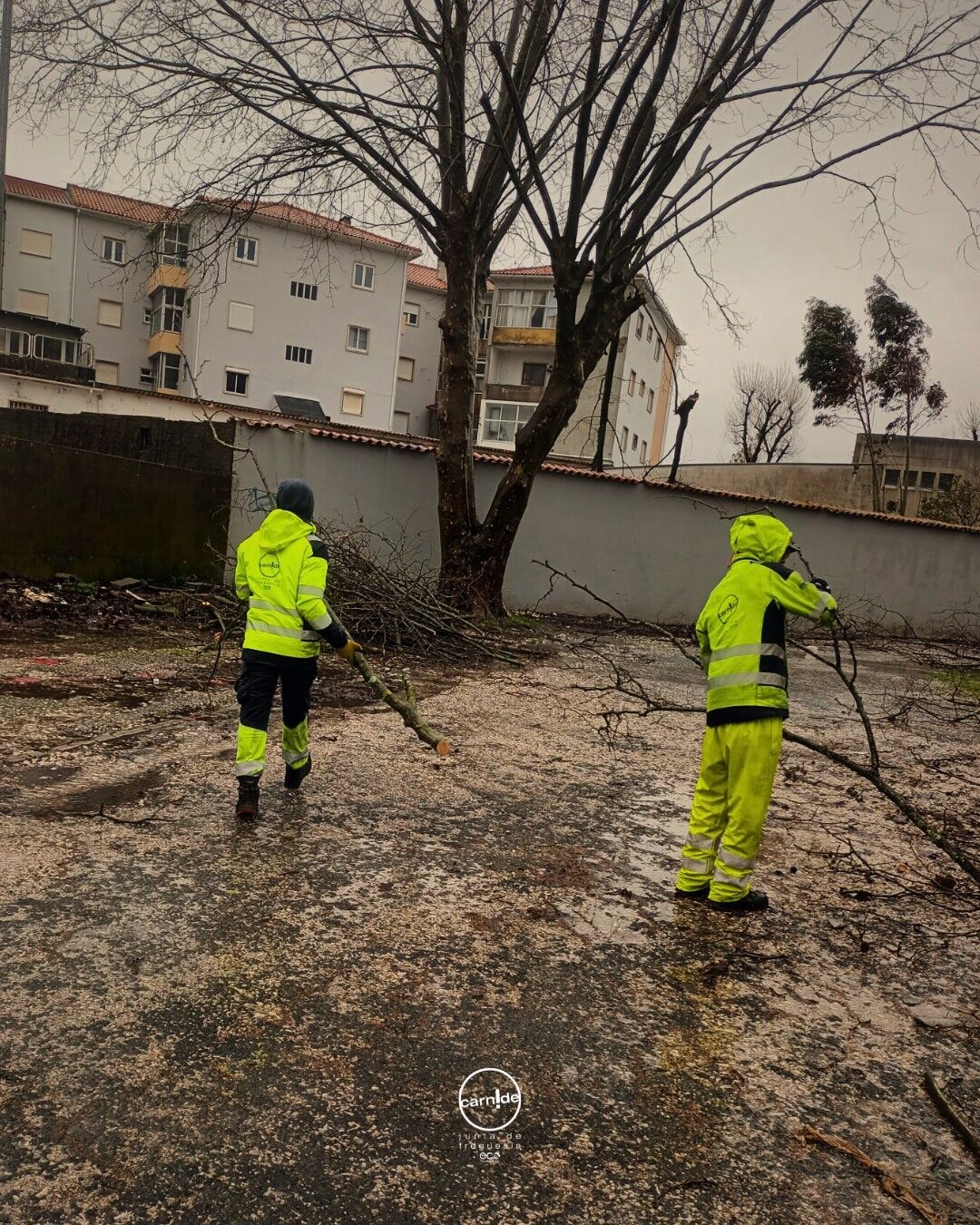 Equipa da JFC Carnide a remover árvores caídas na Marinha Grande